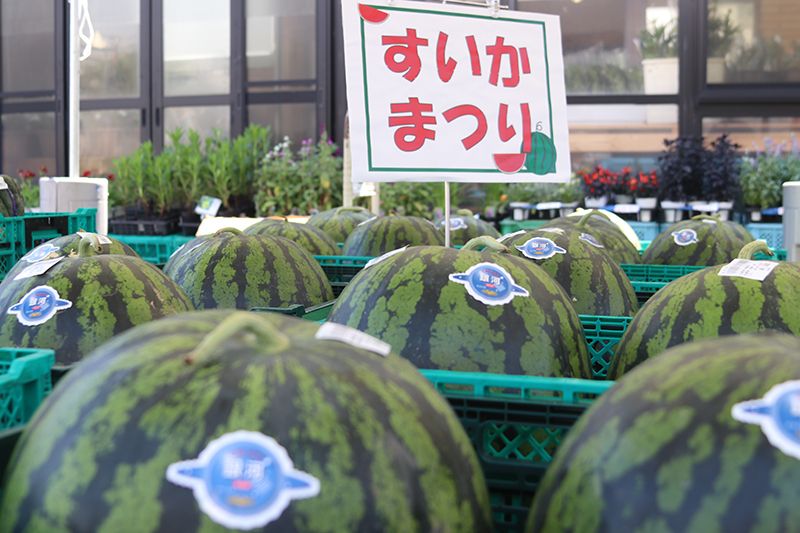 các cuộc thi về dưa hấu